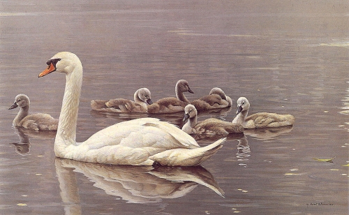 Художник Роберт Бейтман | Robert Bateman (363 работ)