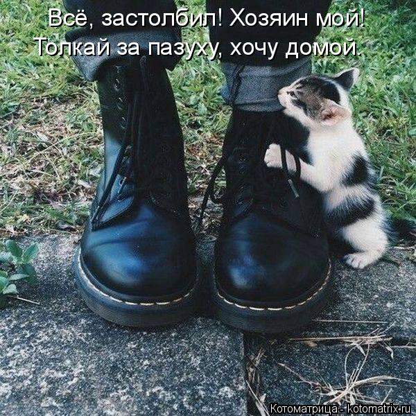 Котоматрица: Всё, застолбил! Хозяин мой! Толкай за пазуху, хочу домой.