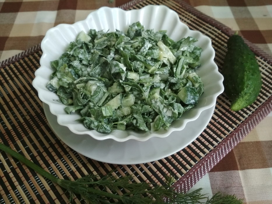 Салат со щавелем и огурцом – рецепт самого весеннего блюда