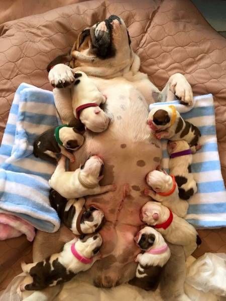 Забавные картинки из реальной жизни для позитива Забавные картинки из реальной жизни для позитива