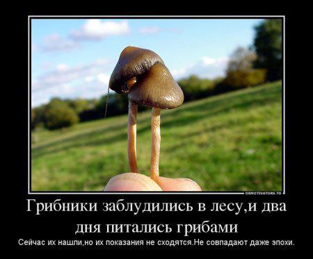 Зачетные и смешные демотиваторы для веселья и хорошего настроения свежие демотиваторы ржака