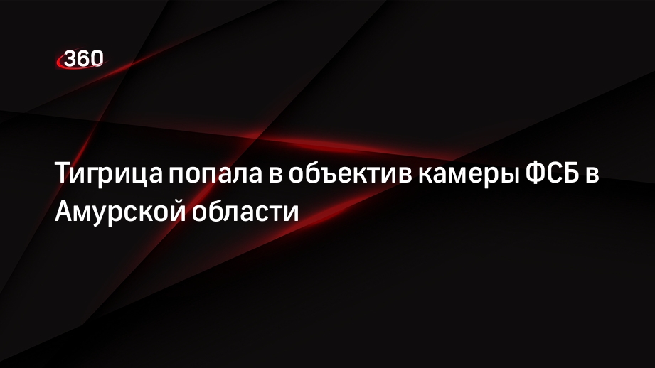 Тигрица попала в объектив камеры ФСБ в Амурской области