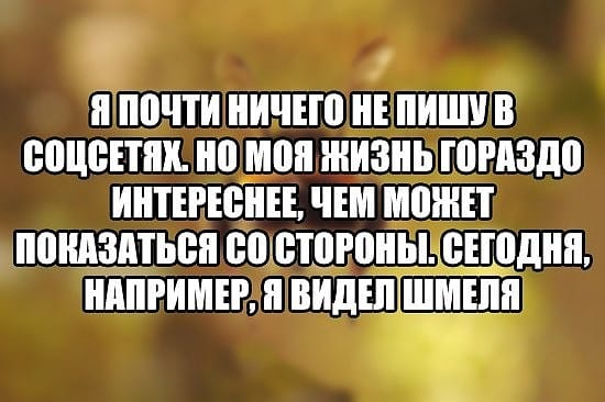 Приходит зять к теще на блины.  - Угощайся, зятек, - говорит теща... Весёлые,прикольные и забавные фотки и картинки,А так же анекдоты и приятное общение