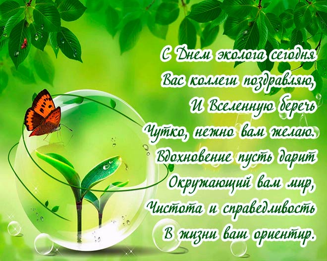 с днем эколога