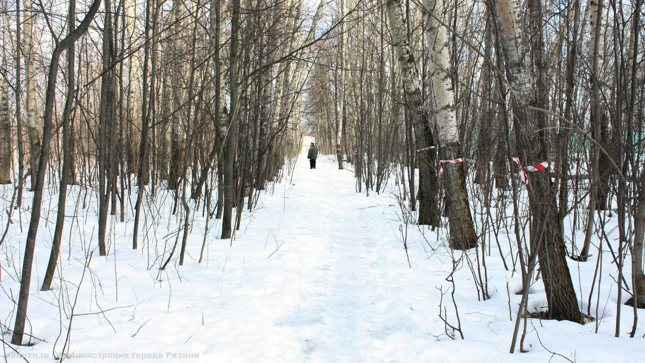 Лесопарк Рязань Фото