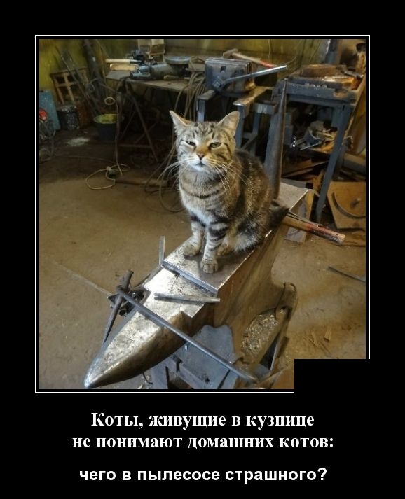 Самые новые демотиваторы Самые новые демотиваторы демотиваторы