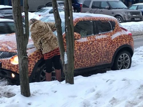 Такие прикольные картинки 2009/2019 Такие прикольные картинки 2009/2019 истории из жизни