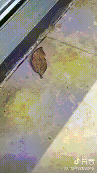 Гифачи вторника Гифачи вторника