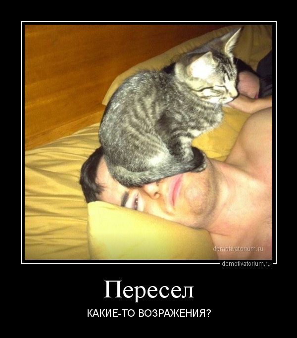 Веселые вечерние демотиваторы для хорошего настроения Веселые вечерние демотиваторы для хорошего настроения