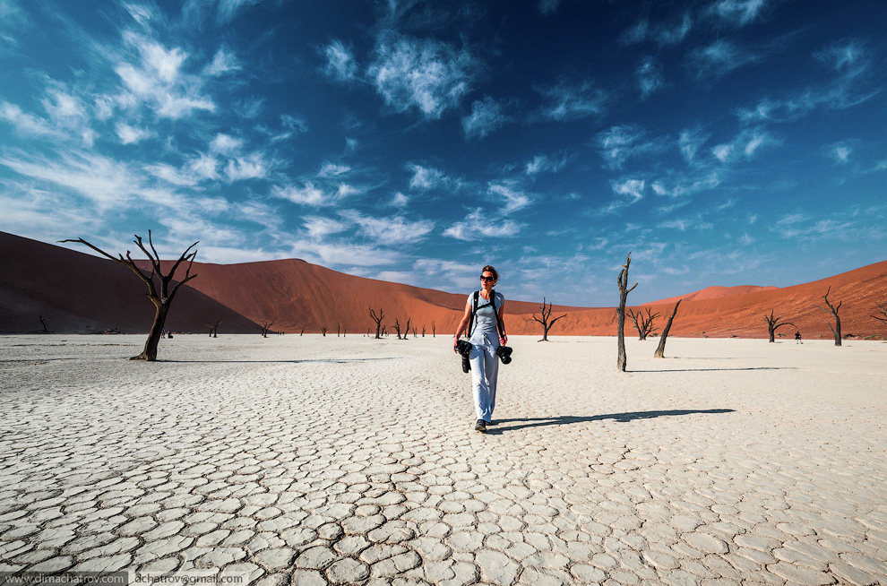 Пустыня Намиб. «Мертвое болото» Пустыня Намиб. «Мертвое болото» путешествия