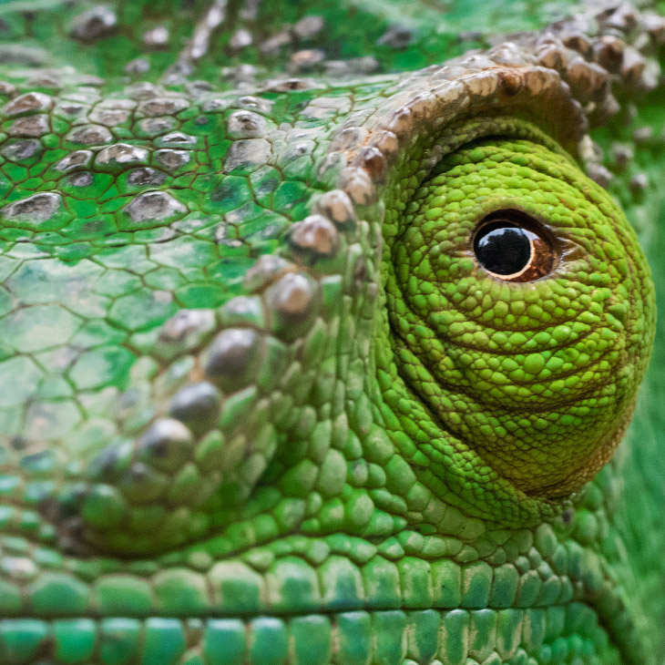 Конкурс фотографий UK Travel Photographer 2019 Конкурс фотографий UK Travel Photographer 2019 интересное,конкурс,фотография