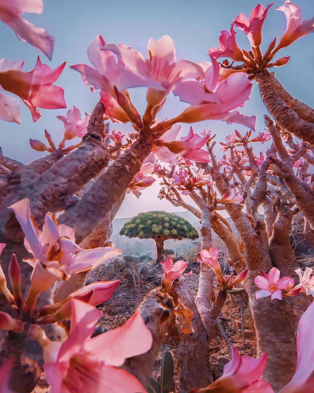 Яркие миры Кристины Макеевой планета,разноцветный,тревел-фото