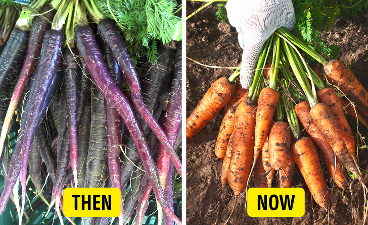 Факты о привычных продуктах, которые когда-то выглядели совсем иначе факты