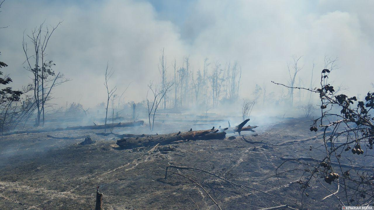 Пожары на Ставрополье увеличились на 58% в текущем году