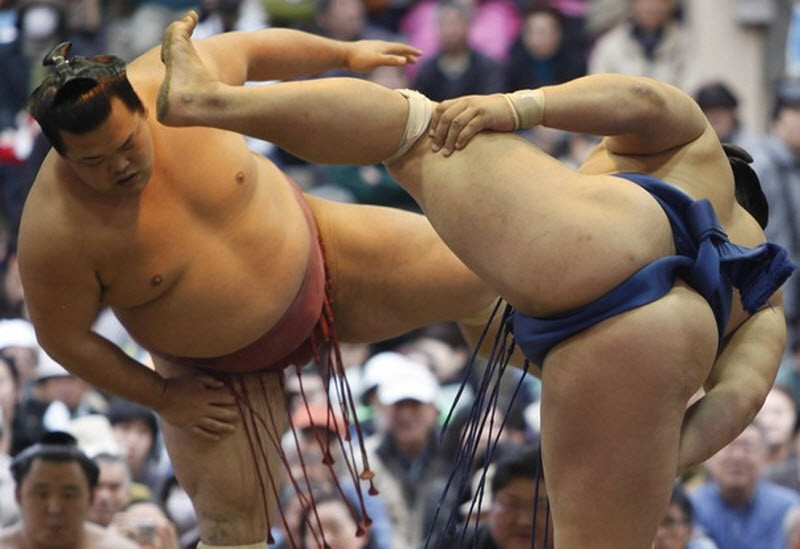 Самые интересные факты о борьбе сумо сумо, факты, япония