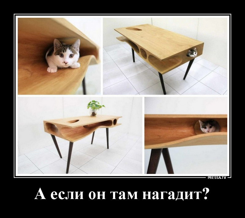 Свежая коллекция юмора для отличного настроения