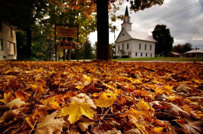 Осеннее настроение Осеннее настроение настроение,осень,позитив,природа