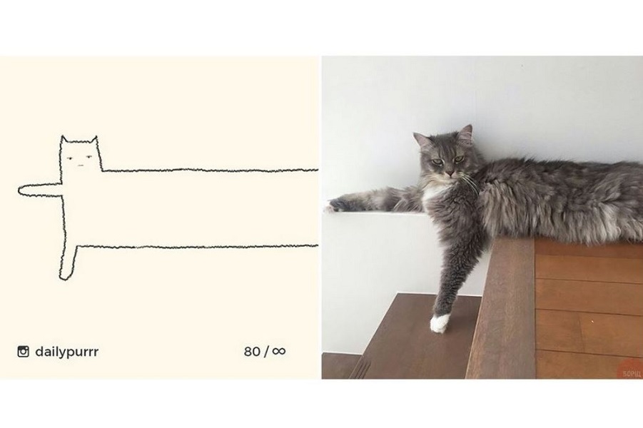 111111111111.JPG 111111111111.JPG