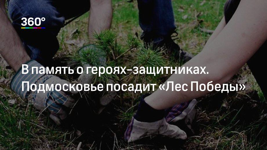 В память о героях‐защитниках. Подмосковье посадит «Лес Победы»