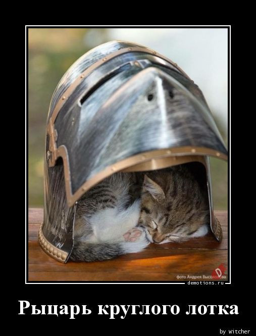 Демотиваторы – картинки: «Здорово, бро!» Демотиваторы – картинки: «Здорово, бро!»