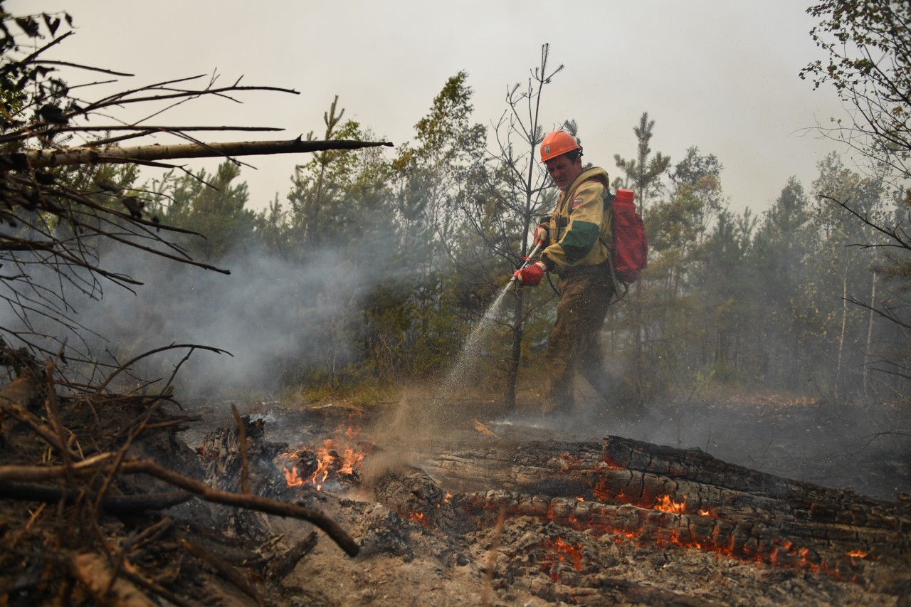 В Свердловской области начался сезон лесных пожаров
