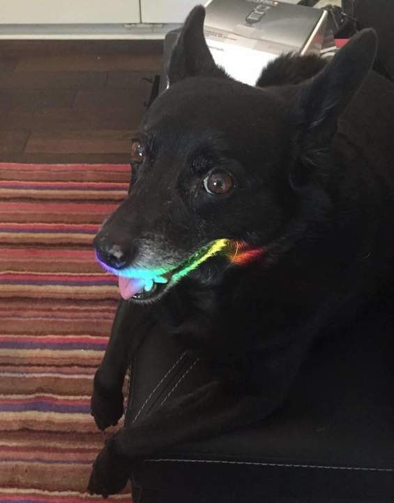 Три главных вопроса бытия: "Кто виноват? ", "Что делать? " и "Где мой телефон!? "