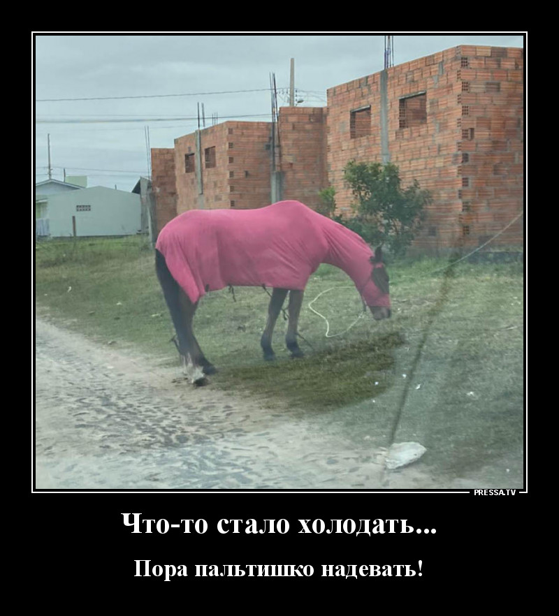 Свежая коллекция юмора для отличного настроения Свежая коллекция юмора для отличного настроения