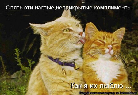 Апрельские котоматрицы