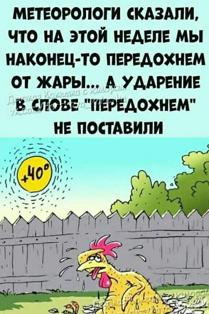 Уехал у меня тут муж в командировку. Скучать одной не хотелось... телевизор, спрашивает, испанскую, просто, любишь, курочка, сумасшедший, курочку, звонит, бороду, подходит, звонок, заходит, испанская, священик, сидим, пользоваться, както, уносит, снова