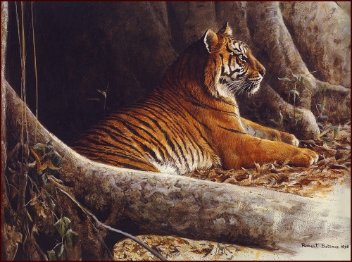 Художник Роберт Бейтман | Robert Bateman (363 работ)