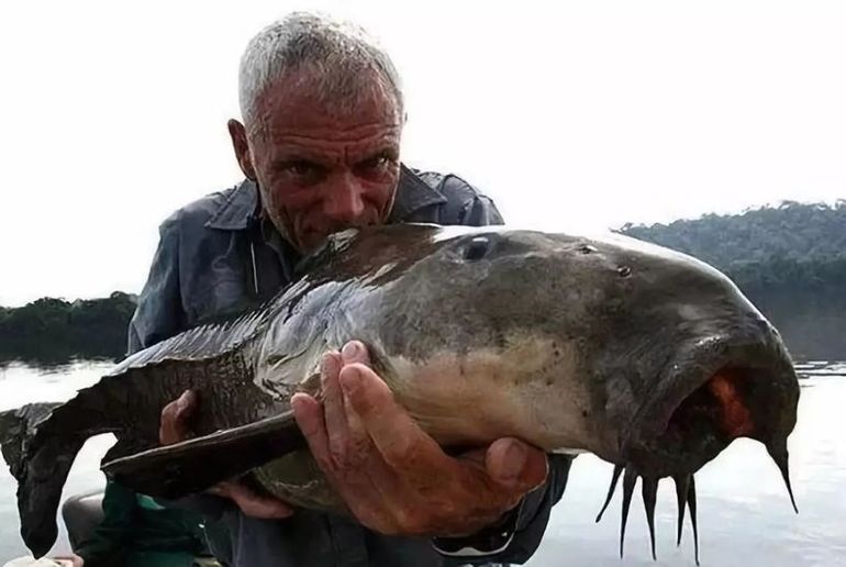 20 самых поразительных речных монстров