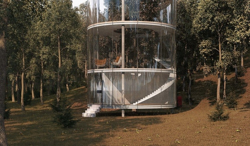 В этом доме вместо комнатных цветов растет настоящее дерево В этом доме вместо комнатных цветов растет настоящее дерево архитектура,растения