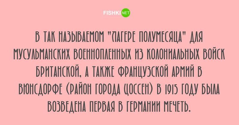 Любопытные факты, которые будут интересны людям с высоким IQ занимательные факты, факты