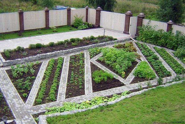 Декоративный огород: идеи оформления грядок для дома и дачи,идеи и вдохновение,своими руками