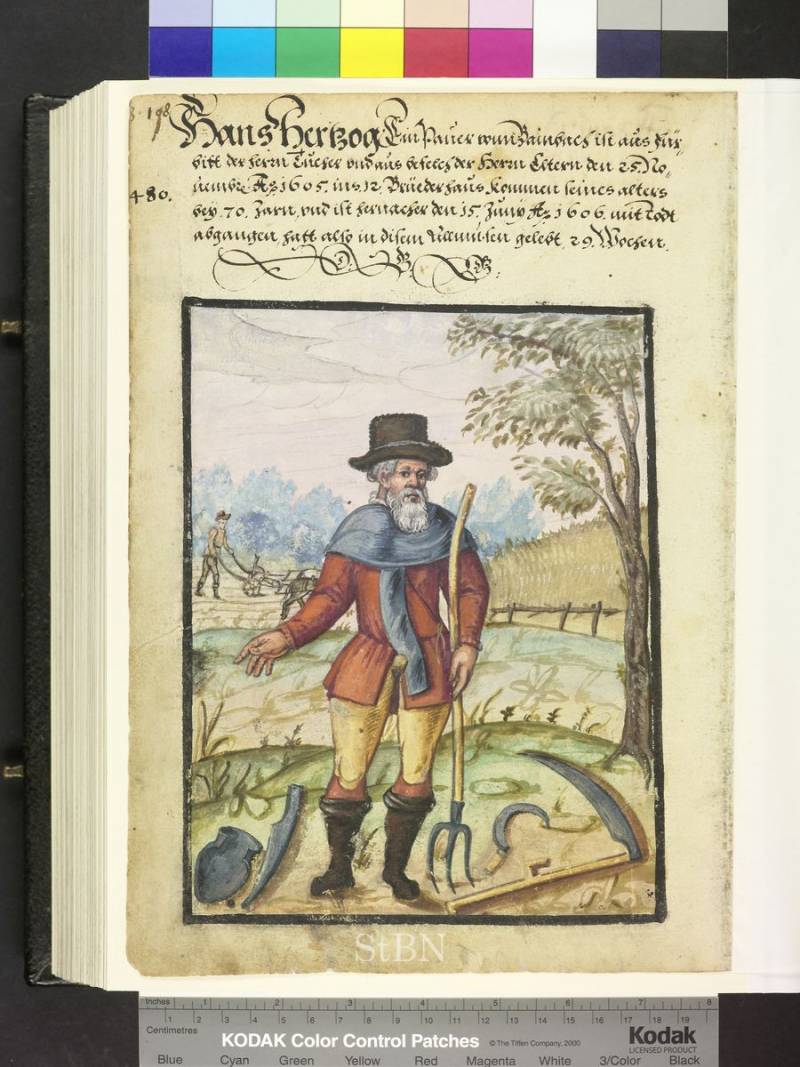 «Книга двенадцати братьев»: пахари, садоводы и виноградари «Книга двенадцати братьев»: пахари, садоводы и виноградари история