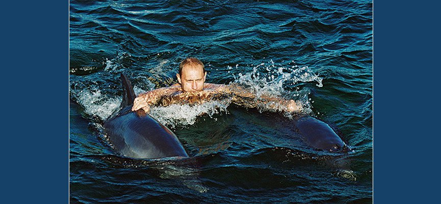 «Уберите дельфинов от безумного Путина»: кретинизм западных СМИ 