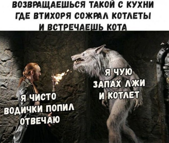 Подборка прикольных картинок  смешные картинки