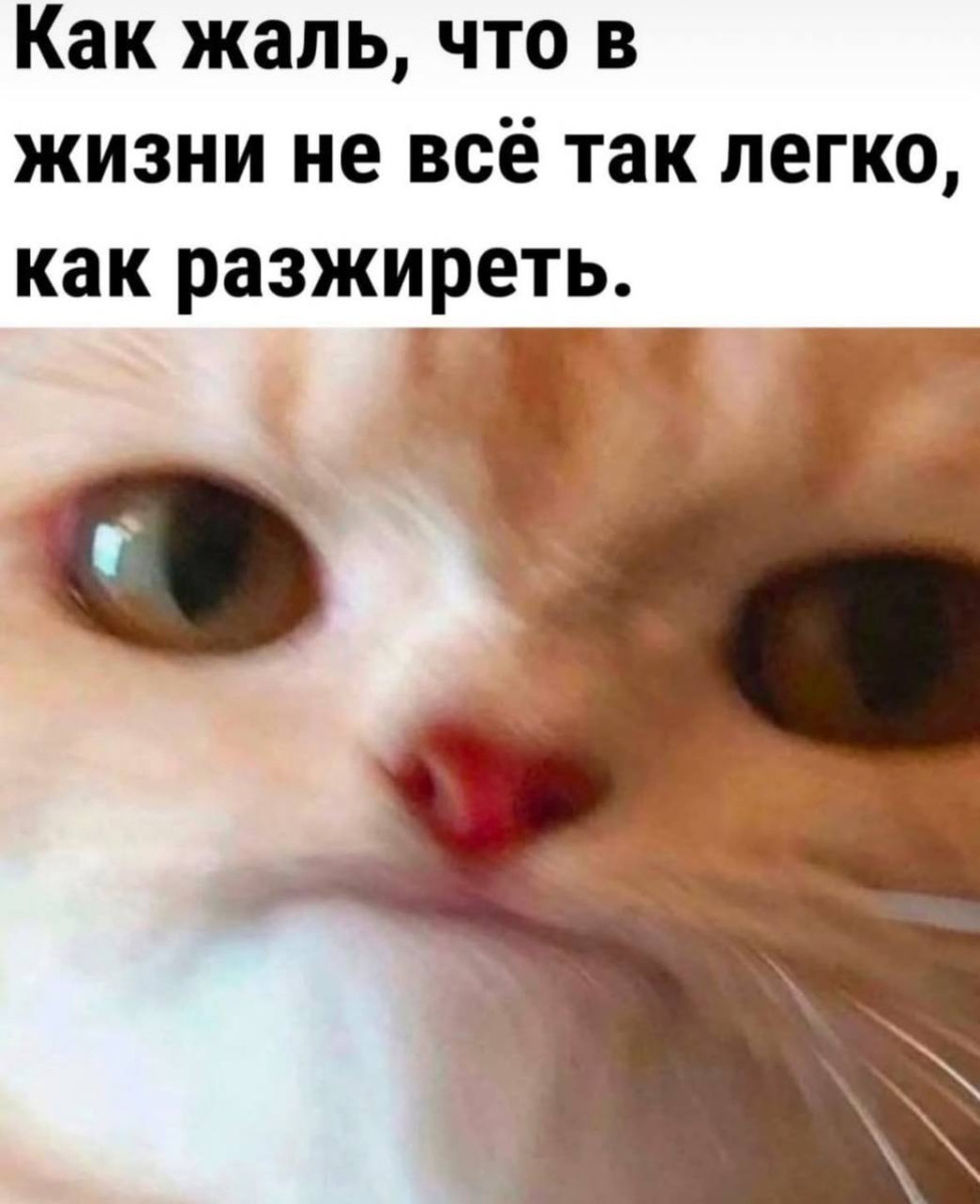 Смешные картинки с надписями и парни с ногами Смешные картинки с надписями и парни с ногами