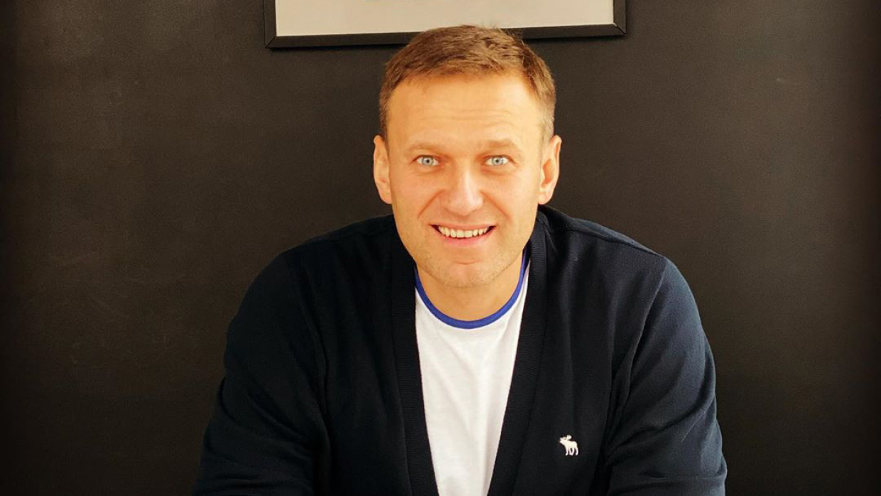 ФРГ пытается «воскресить» кейс Навального новыми уликами с «Новичком»