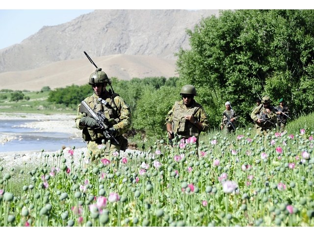 Опять Афганистан: «галантный Феникс» и трубка мира с опием геополитика