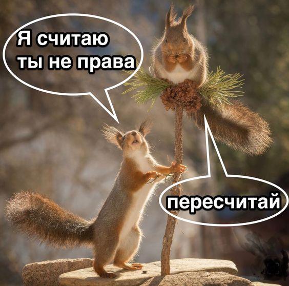 Угарные картинки с юмором Угарные картинки с юмором