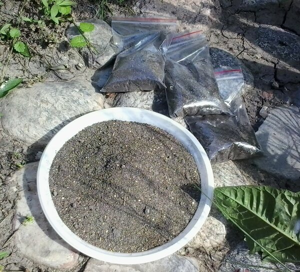 Инновационное производство продукции из сапропеля на экспорт Инновационное производство продукции из сапропеля на экспорт