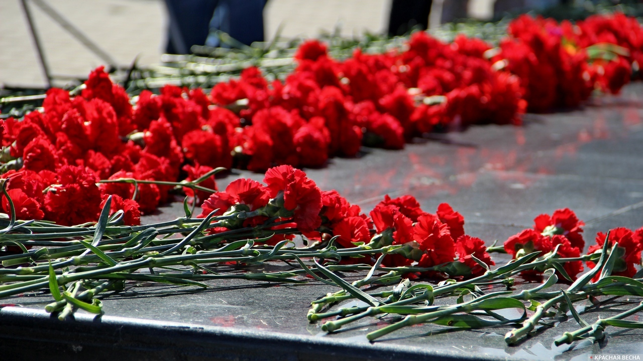 Памяти восьми. Гвоздики на памятник. Стелла город воинской славы Ростов. Город Калач на Дону город воинской славы. Город Калач на Дону город воинской славы Стелла.