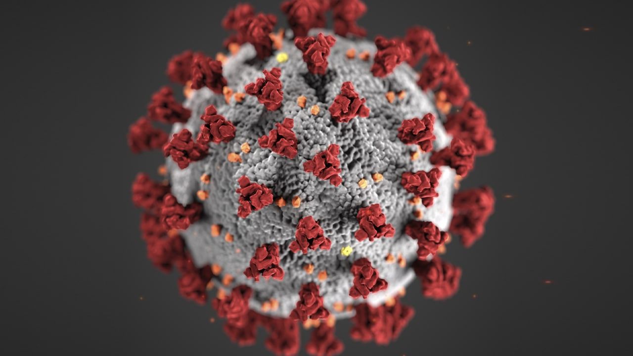 Врач опроверг опасность новых разновидностей коронавируса Общество