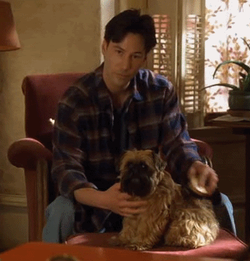 Позитивные и смешные гифки пятницы Позитивные и смешные гифки пятницы