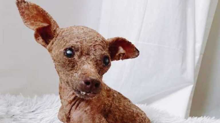 BeFunky-collage (50)