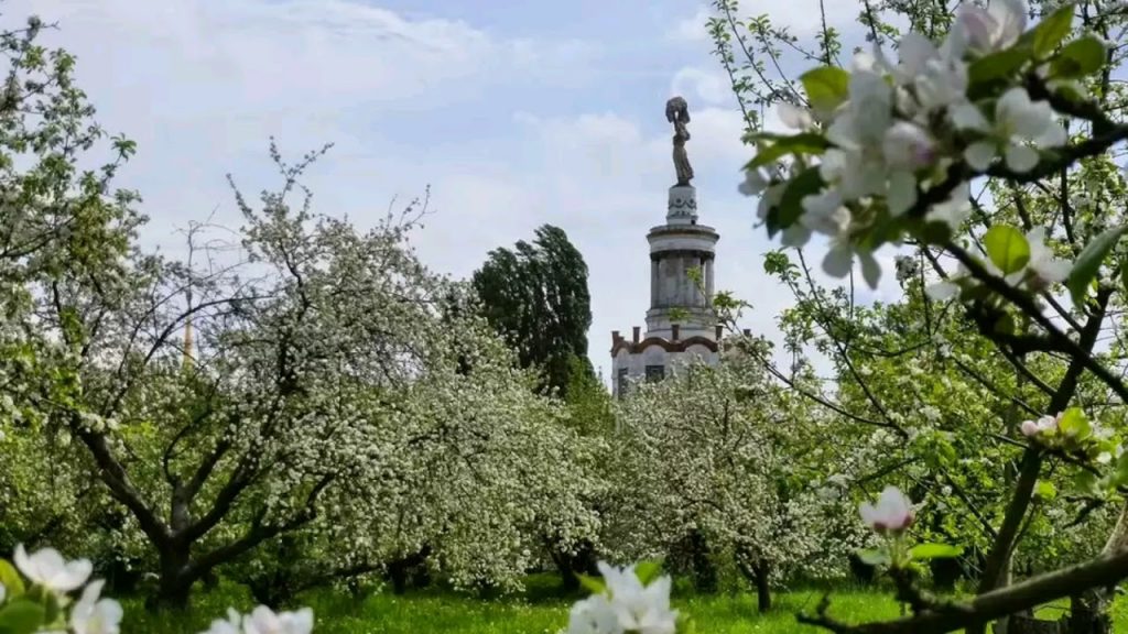 Вишневые сады в москве