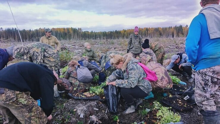 Как молодые девушки сбежали из города в Вологодский лес Как молодые девушки сбежали из города в Вологодский лес
