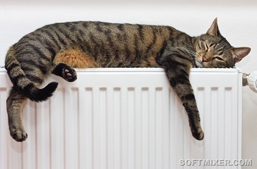 Русская зима глазами иностранцев Русская зима глазами иностранцев