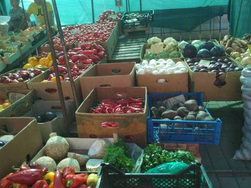 Записки Колорадского Таракана. А мы опять… заболели! Записки Колорадского Таракана. А мы опять… заболели! украина